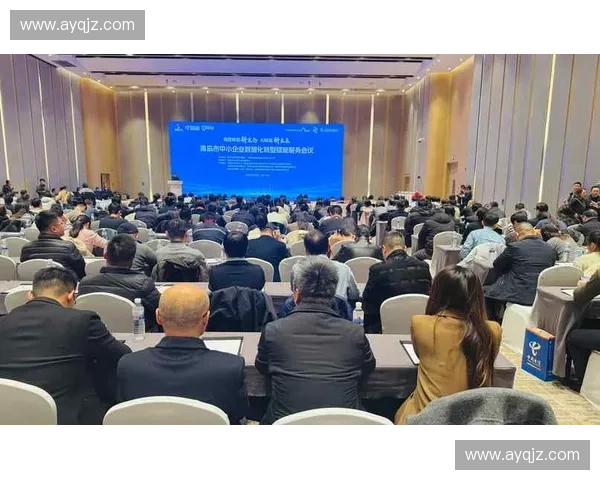 体育经济发展新机遇：数字化转型与全球化趋势下的产业创新与挑战